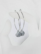 Load image into Gallery viewer, Sand Dollar Hoop Earrings, Sterling Silver Ear Wires - MiShelli